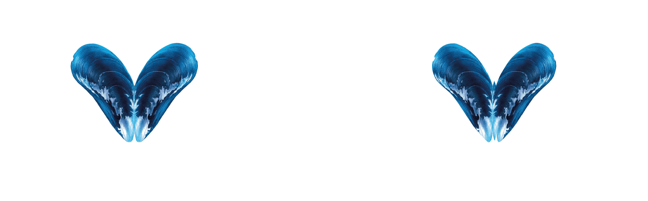 lh logo hvid scaled